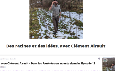 Clément Airault réinvente les arbres des Pyrénées