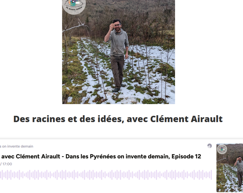 Clément Airault réinvente les arbres des Pyrénées