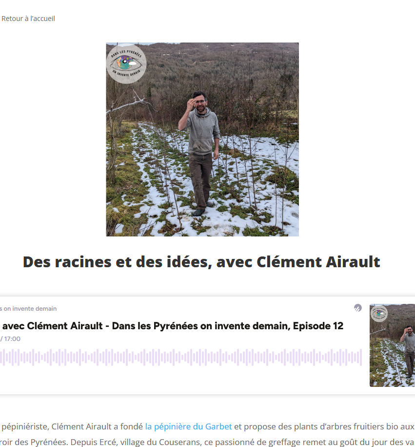 Clément Airault réinvente les arbres des Pyrénées